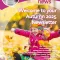 Wellhouse Newsletter Autumn 2025